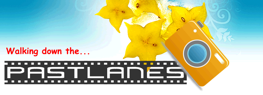 Logo for PastLanes.com - Camera Accessories