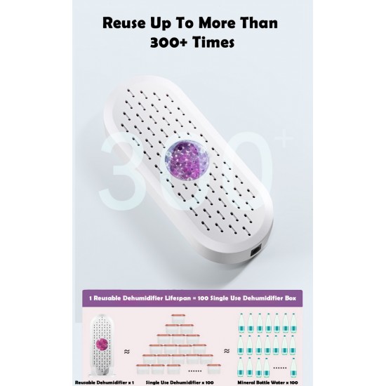Reusable Dehumidifier