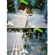 Reto Retocolor Cat'Cha Disposable Camera With Pre-Exposed Patterns [27 Exp]