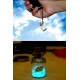 Glowing Star Sand Seashell Wishing Bottle