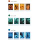 Instax 210 Color Close-Up Lens (Filter Lens)