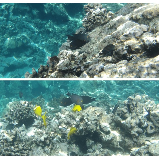 Kodak PixPro WPZ2 Waterproof Digital Camera