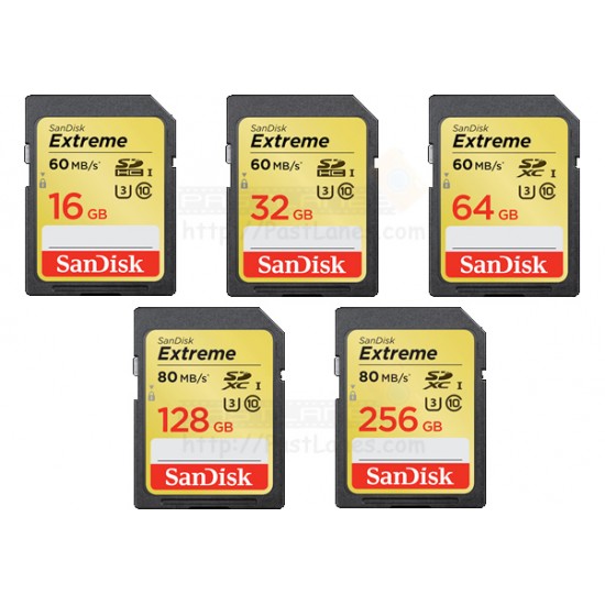 Sandisk Extreme SDHC Class 10 SD Card