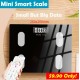 Mini Bluetooth Smart Body Weighing Scale