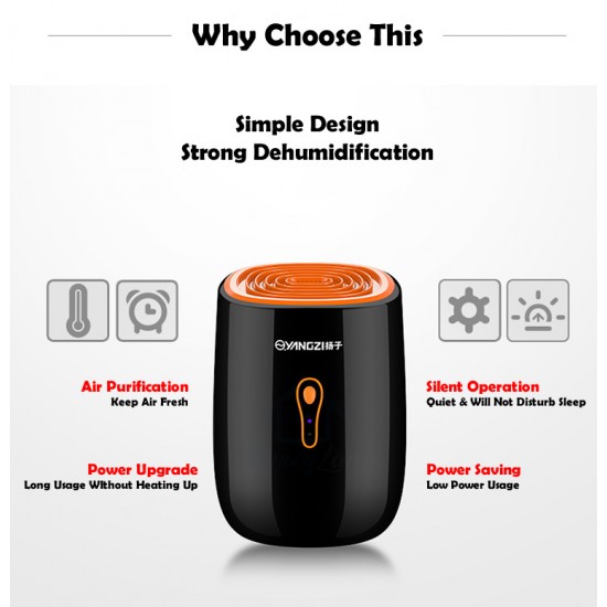 Yangzi Dehumidifier DH07