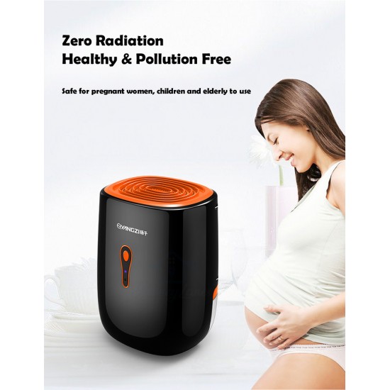 Yangzi Dehumidifier DH07